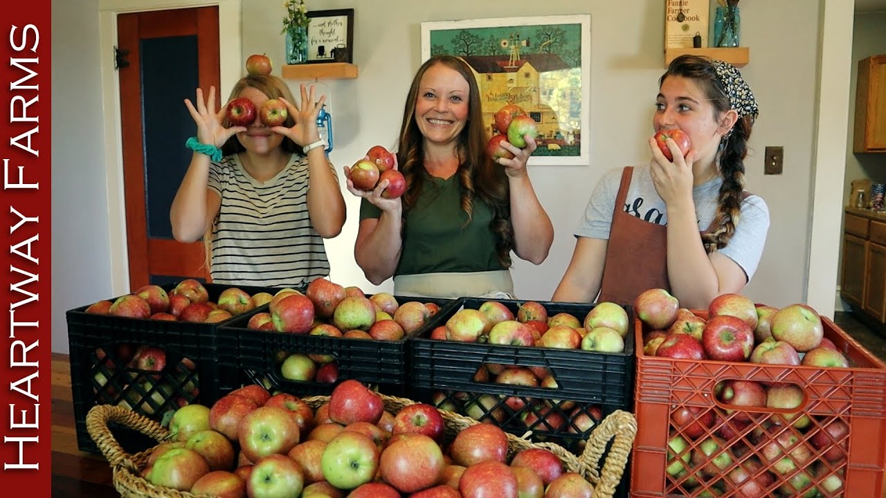 Четыре способа хранения яблок | Heartway Farms | Как использовать и хранить яблоки | Осенний сбор...