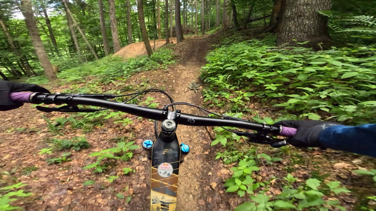 Davidoff  KE-CY  2024