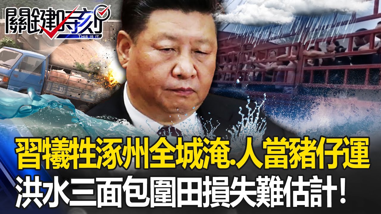 習近平犧牲涿州全城被淹「人當豬仔運」為逃亡？洪水「三面包圍淹農田」損失難估計！【關鍵時刻】