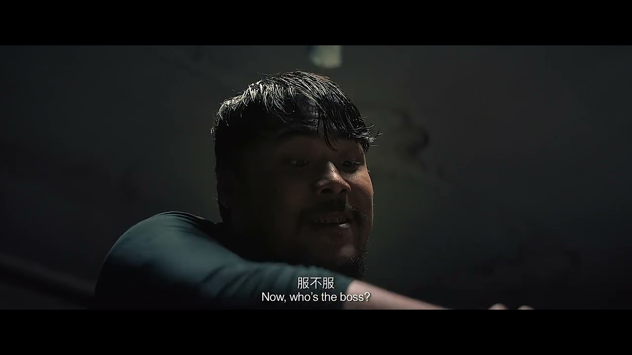 爆裂无声 Wrath of Silence 2017 4K WEB DL HEVC AAC HQC