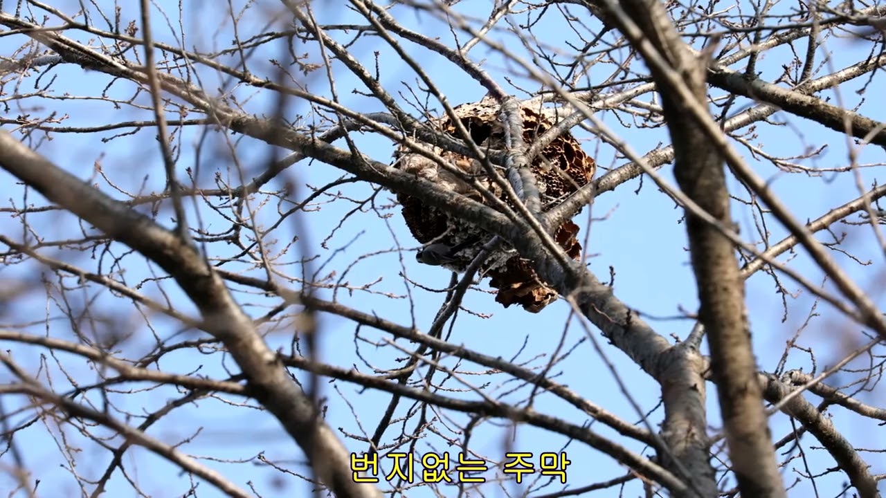 번지없는 주막