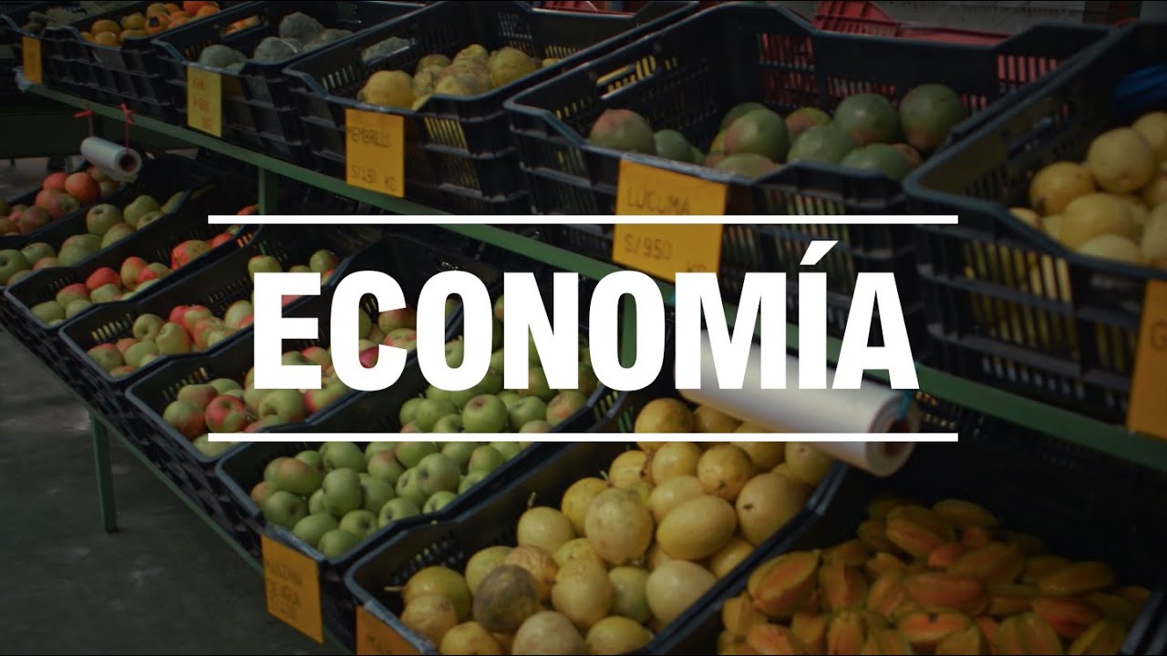 Estudia Econom&iacute;a en la UNALM
