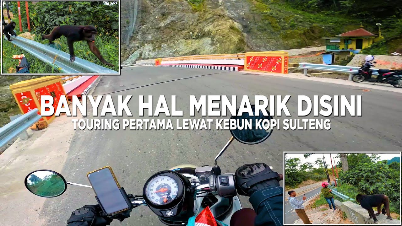 BEGINI JEMBATAN BARU UWENTIRA SAMPAI KETEMU MONYET KEBUN KOPI - TOURING LINTAS TOLI TOLI PART 1