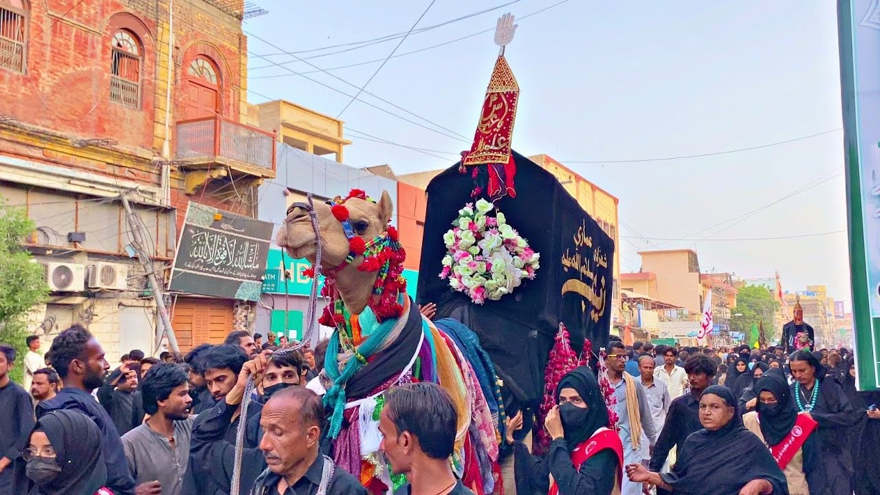 Alwidai Amaari Qafila | 8 Rabi ul Awal 2023 | Qadam Gah To Dadan Shah Hyderabad Sindh 🇵🇰