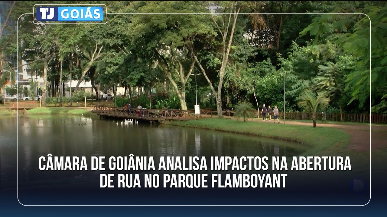 CÂMARA DE GOIÂNIA ANALISA IMPACTOS NA ABERTURA DE RUA NO PARQUE FLAMBOYANT
