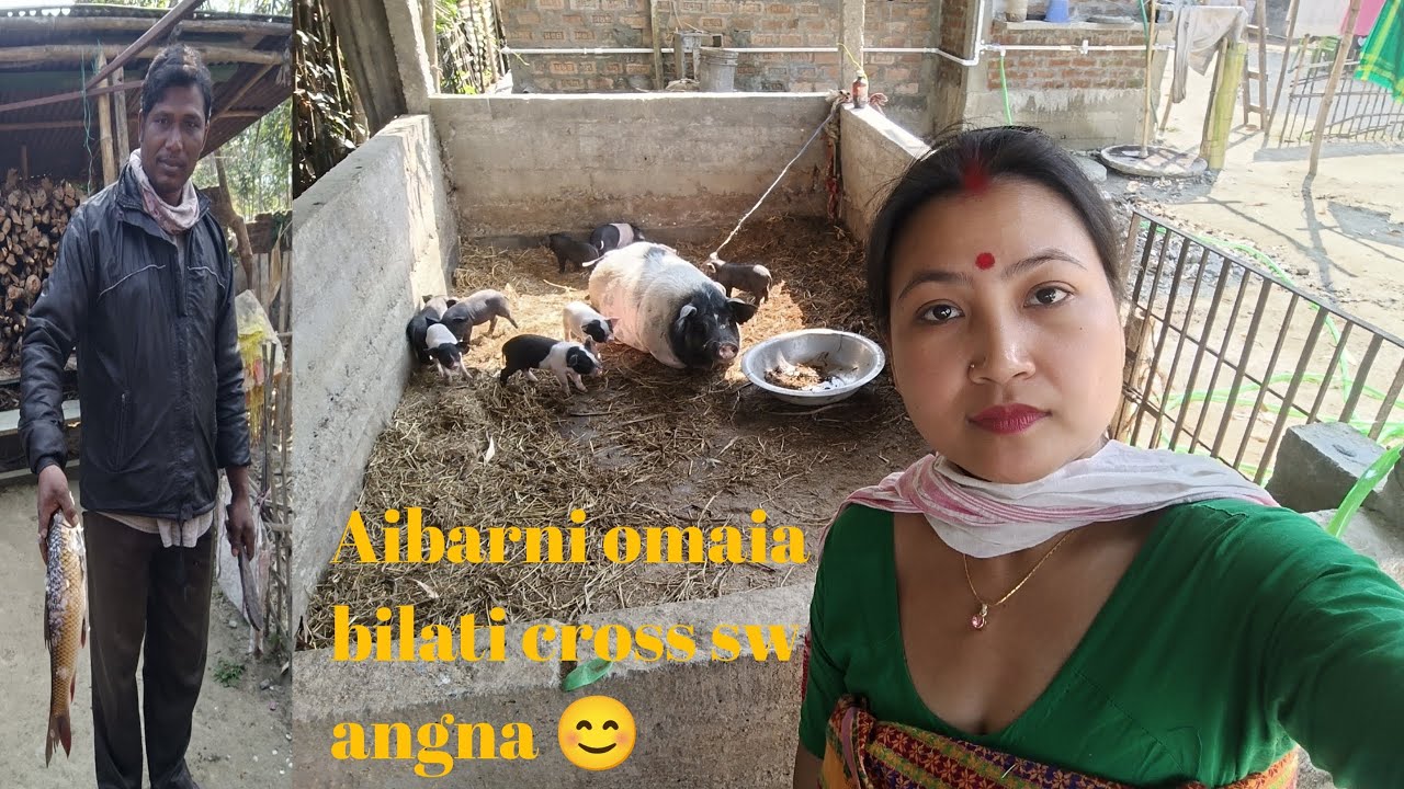 Aibarni omaia bilati cros sw angna 😊