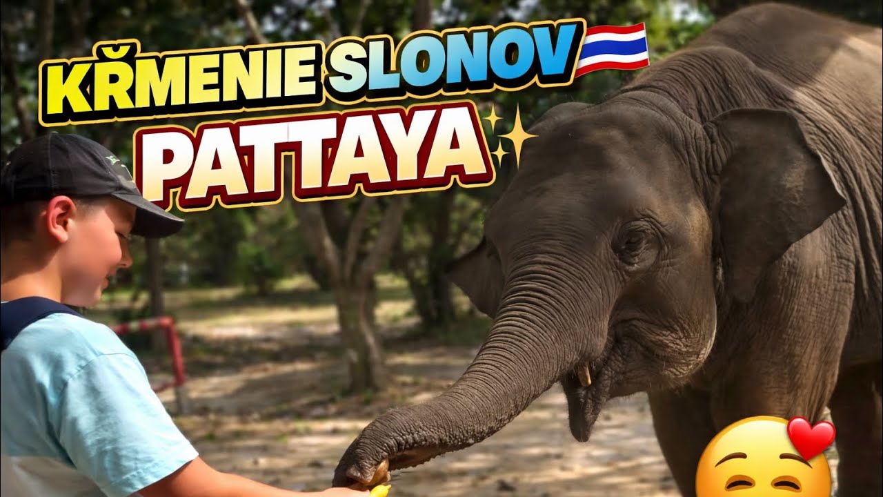 Buddha Mountain a najkrajšia kaviareň v Pattayi ☕️🇹🇭