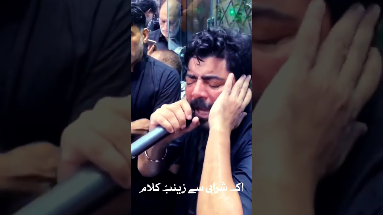shaam Haye Shaam💔😭#mirhasanmir2025 #noha #arabicnoha #karbala #حسینیه