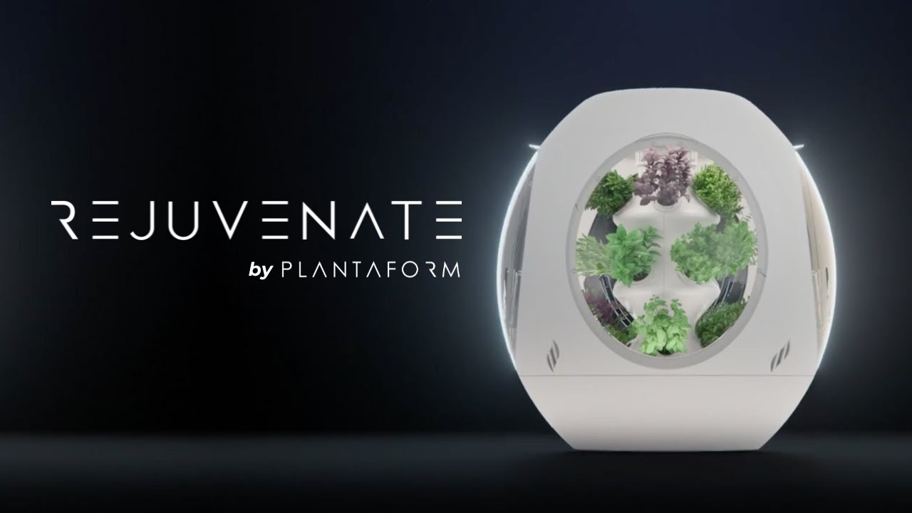 Plantaform Indoor Garden