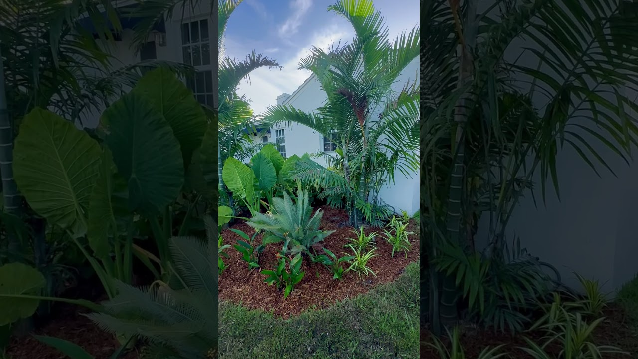 Tropical landscape design in Fort Lauderdale.