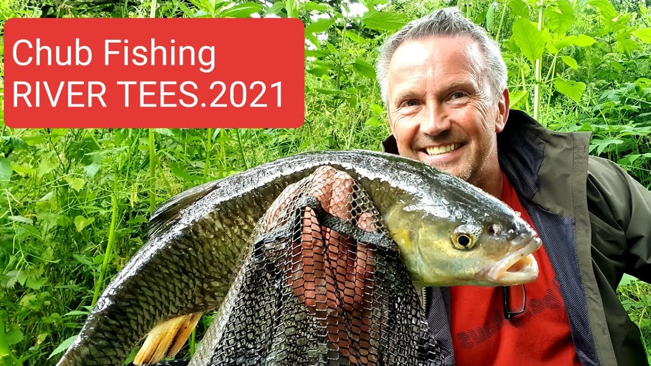 Chub Fishing.River Tees.5 July 2021