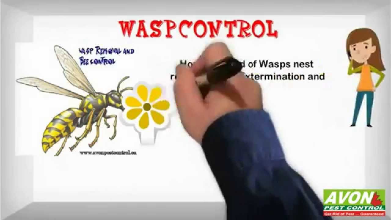 Pest Extermination