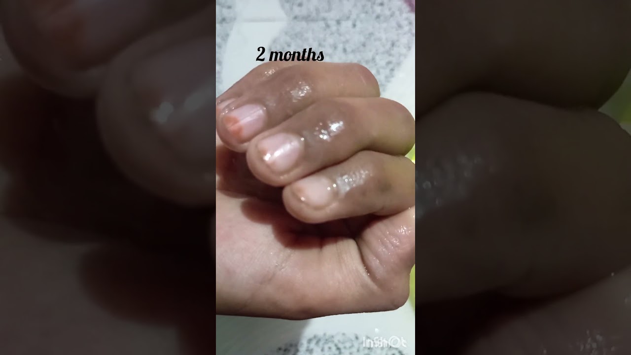 purple berry guppy transformation #guppy#online