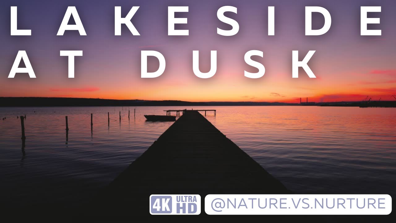 🌾 Lakeside at Dusk 🪵 | Lake Ambience | Nature Ambience Sounds for Focus & Relaxation