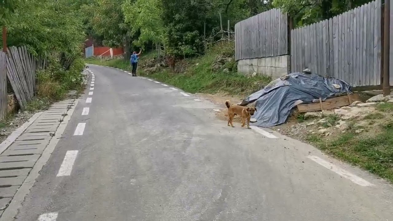 În satul Vârf din Naieni, Buzău,10.09.2022