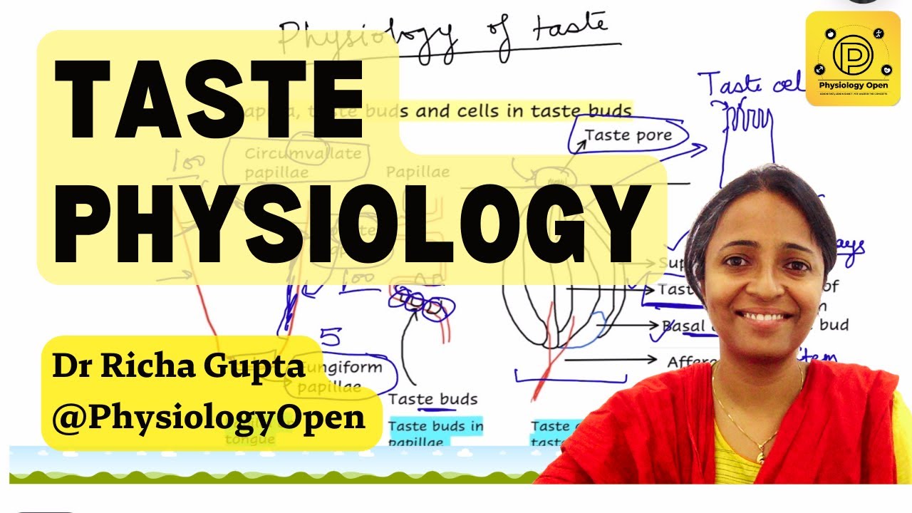 Special senses physiology taste