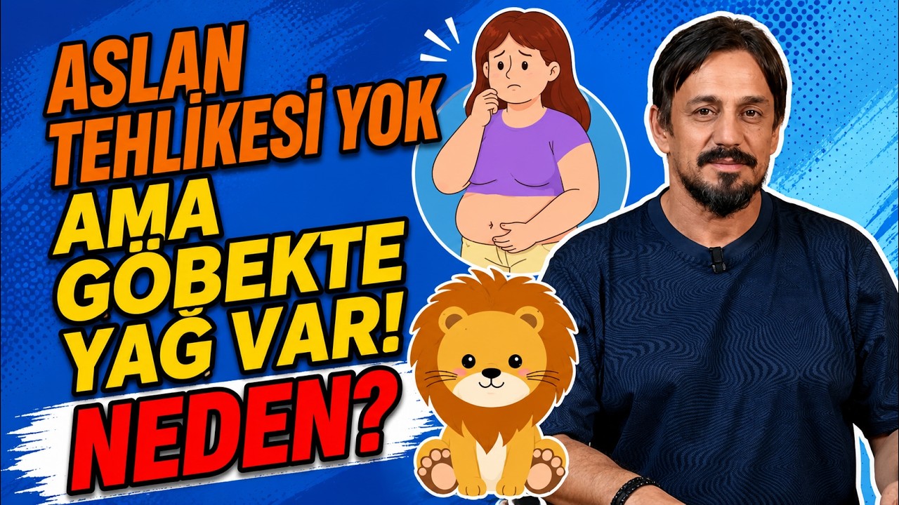 Aslan Tehlikesi Yok Ama Göbekte Yağ Var! Neden? I Dr. Yunus Uçarcı