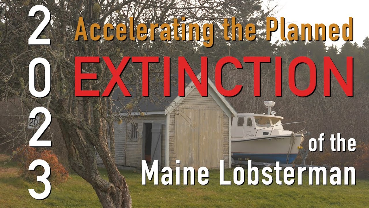 2023: Accelerating the Planned Extinction of the Maine Lobsterman