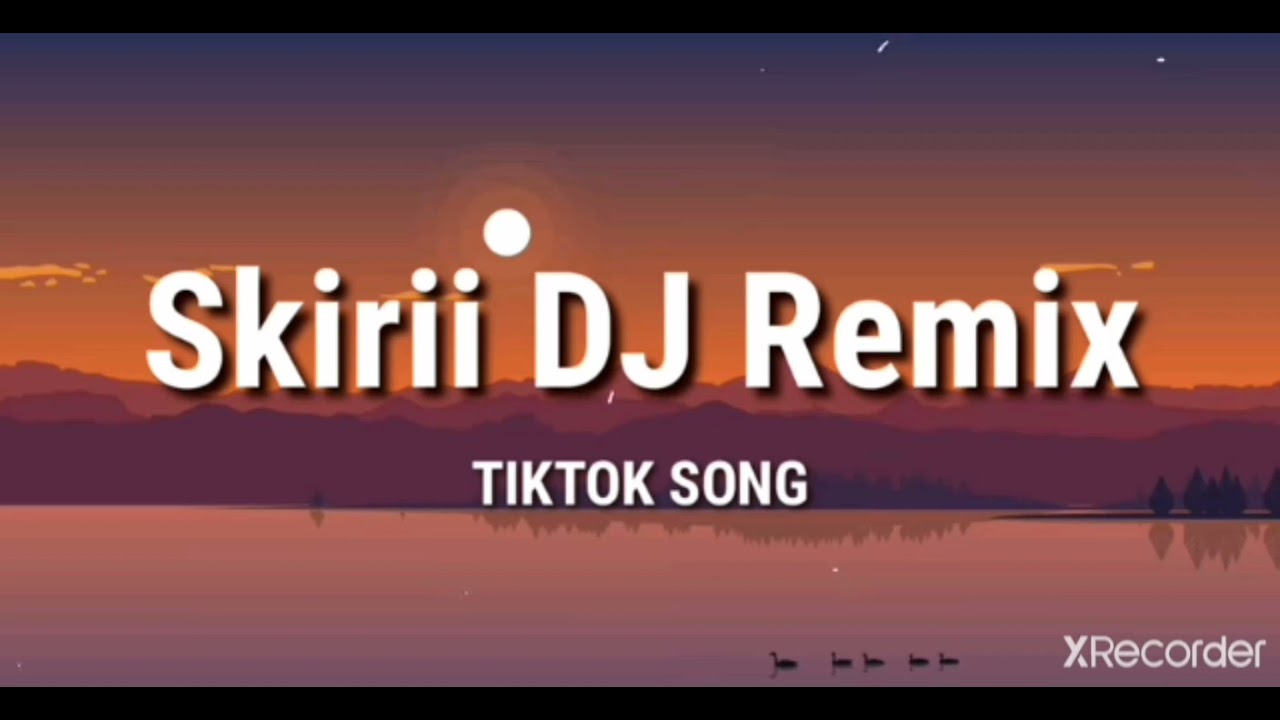 SKIRII/SKIDI DJ Remix 1 Hour