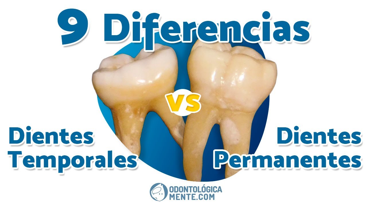 ► 9 Diferencias entre dientes 🦷 temporales y permanentes