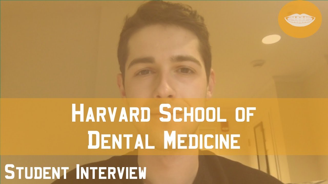 Harvard School of Dental Medicine Student Interview || FutureDDS