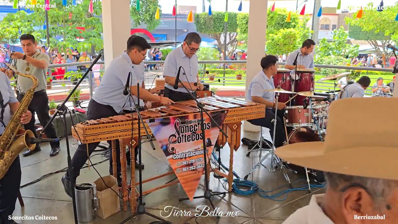 Marimba Chiapaneca Cumbias para Bailar Musica de Marimba Chiapas mix