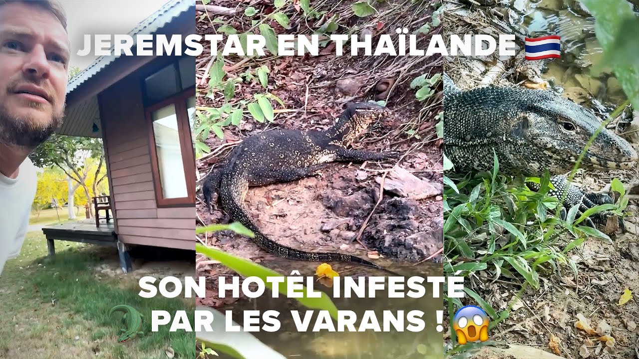 JEREMSTAR DÉCOUVRE QUE SON HÔTEL EN THAÏLANDE EST INFESTÉ DE VARANS