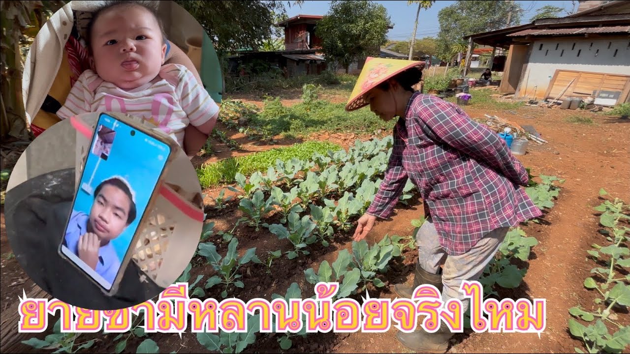 ยายซ่ามาจากจำศีลคุยกับวินโด้เข้าแปลงผัก
