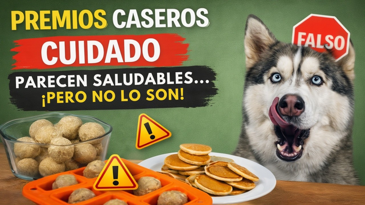 Premios caseros que parecen saludables… pero NO lo son
