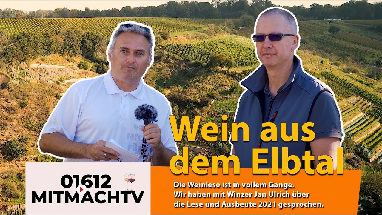 01612MitmachTV - Weinlese 2021 sächsische Elbweindörfer - Meißner Wein - Weingut Jan Ulrich