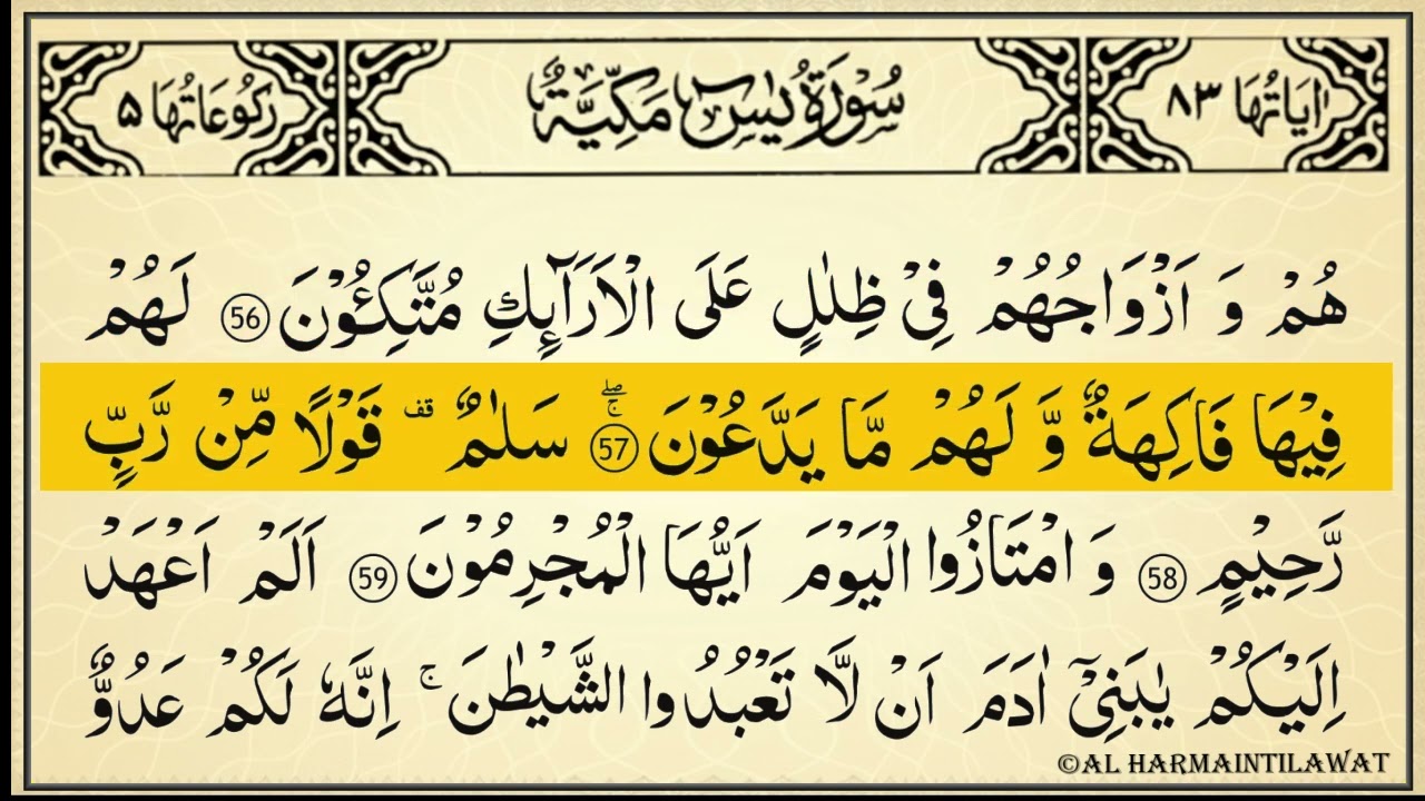 4 Surahs for Every Need: Yasin, Ar-Rahman, Al-Waqiah & Al-Mulk | Full Recitation | Al Haramain