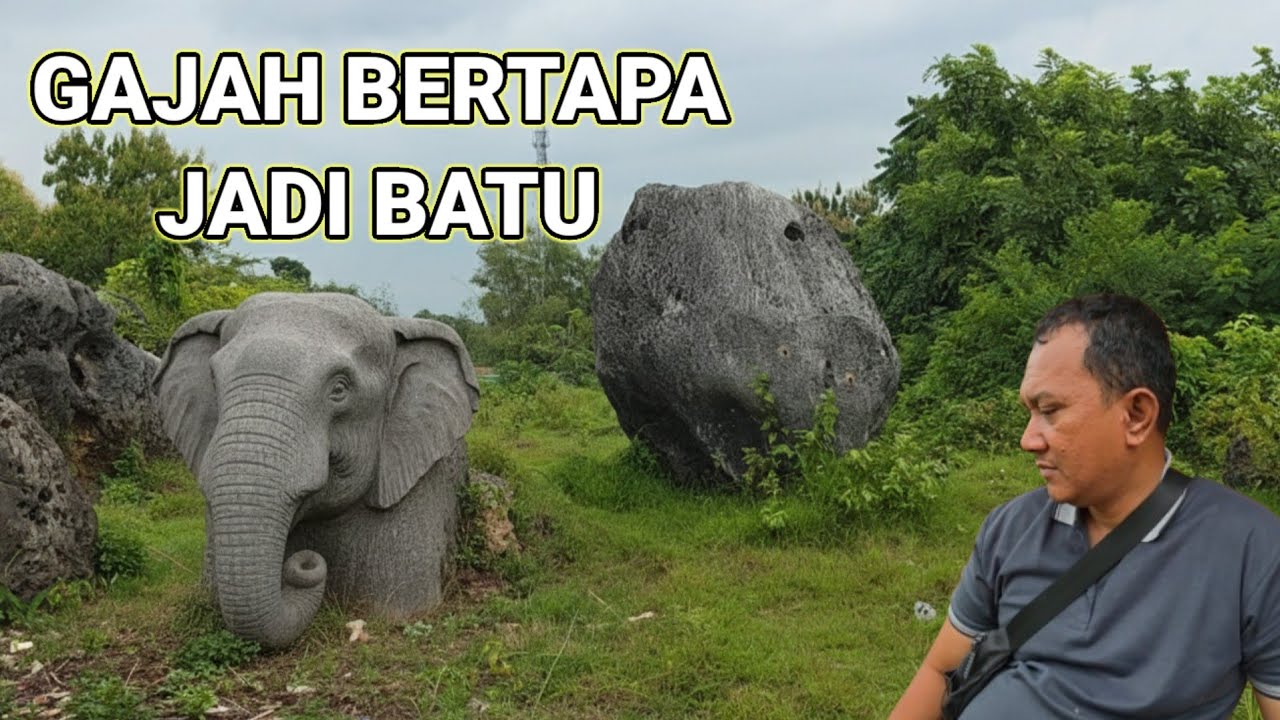 Viral.! Gajah Bertapa Menjadi Batu Jaman Kerajaan Majapahit