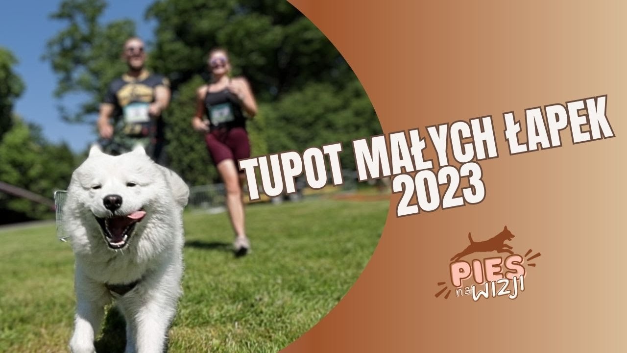 Pies na wizji #2 Tupot małych łapek | Jak przygotować psa na UPAŁ?!