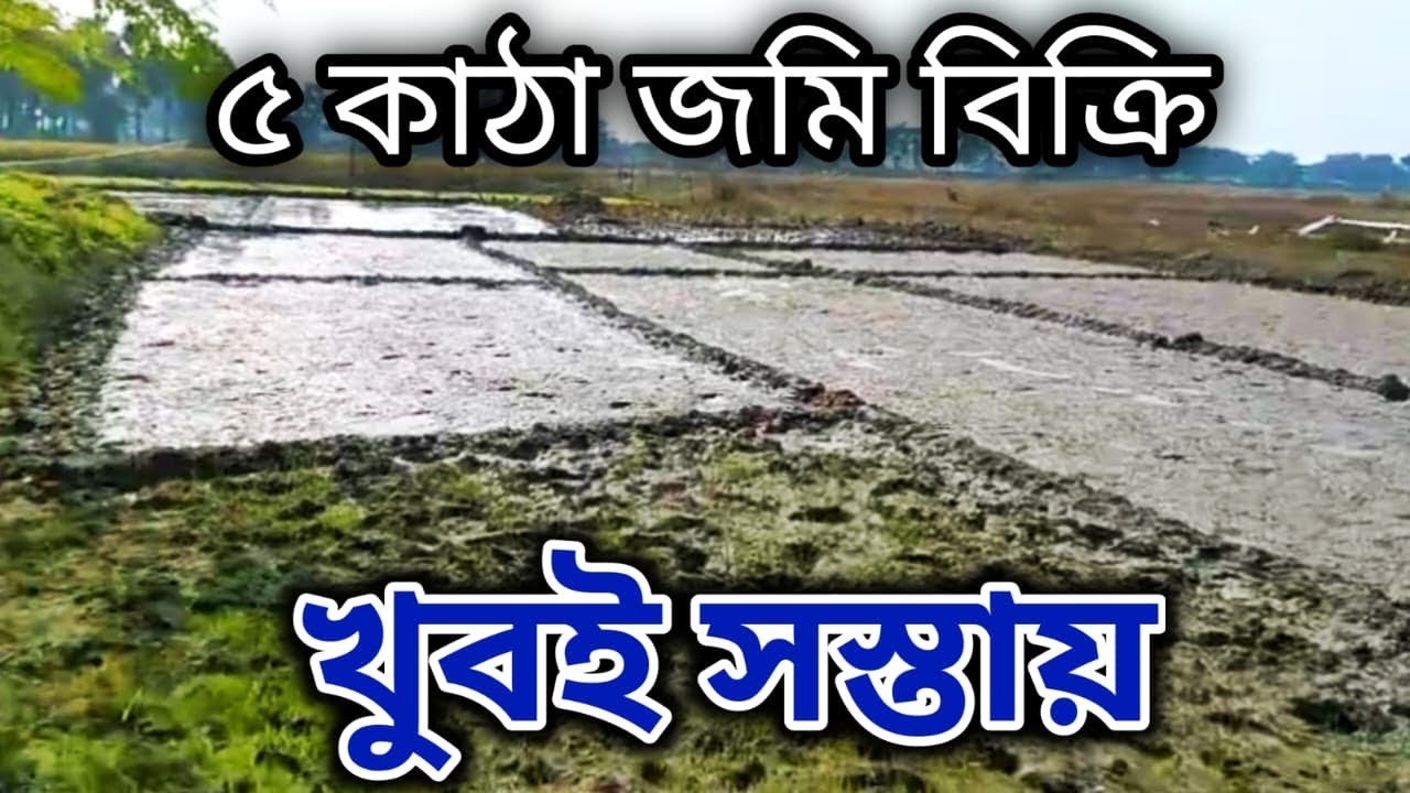 খুবই সস্তায় জমি বিক্রি