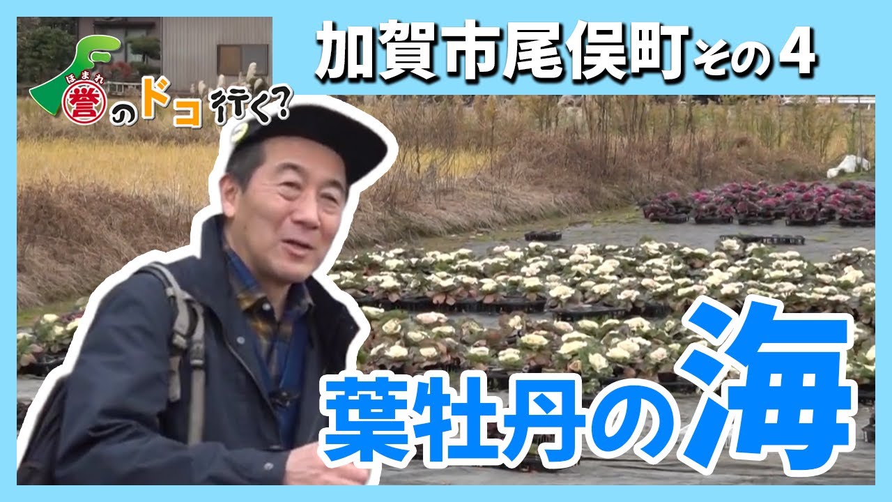 【誉のドコ行く？2025年12月18日放送 加賀市尾俣町④】