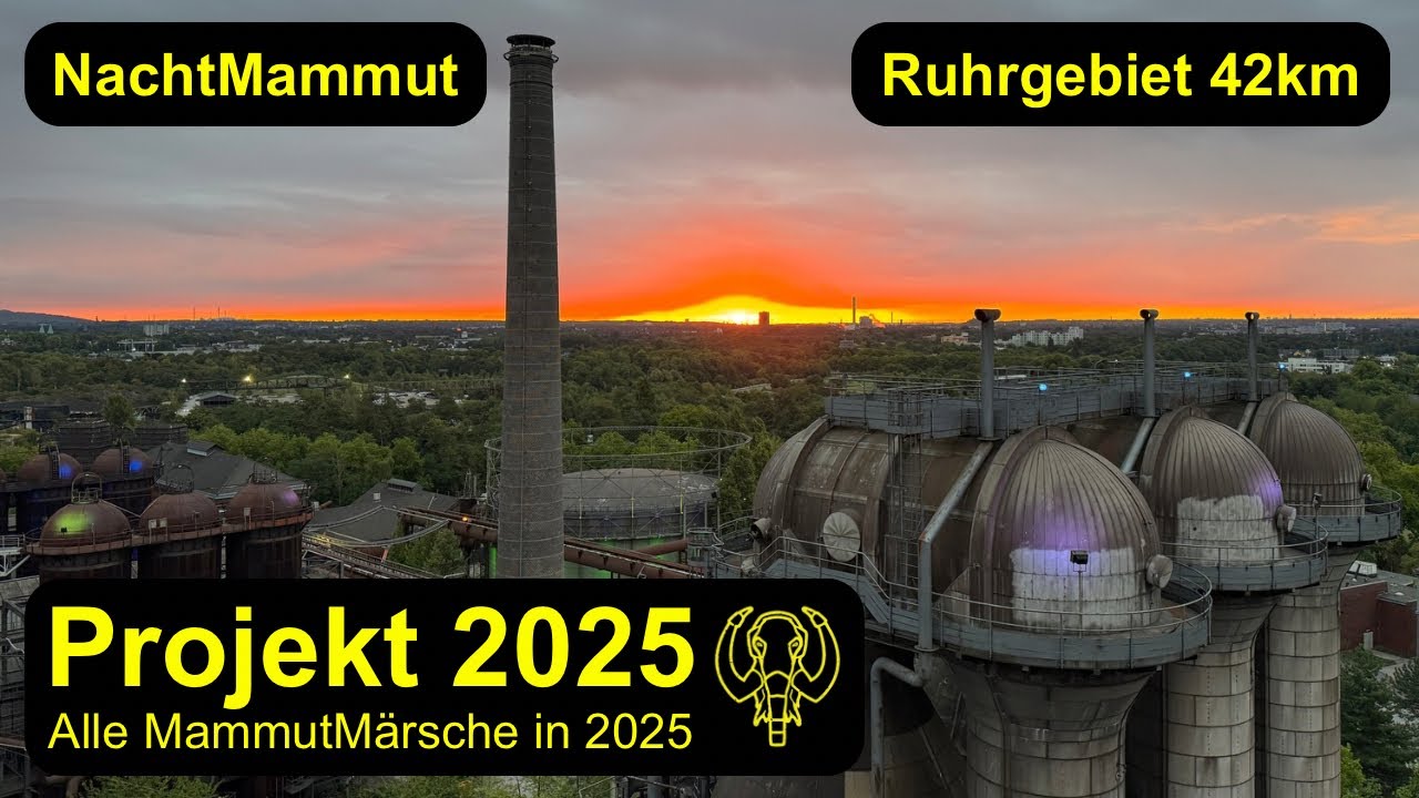 NachtMammutMarsch Ruhrgebiet (Duisburg) 42km 2025 | Der Pott ist nachts noch viel schöner!