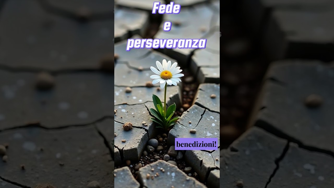 ✝️🕊 Motivazione Cristiana, fede e perseveranza #fedecristiana #motivazionecristiana #diotiama
