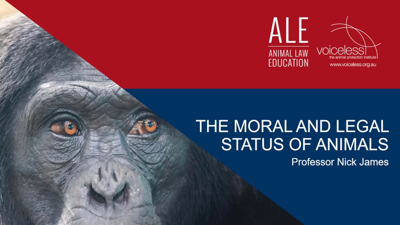 ALE Module 1 - Part 1: The Moral and Legal Status of Animals