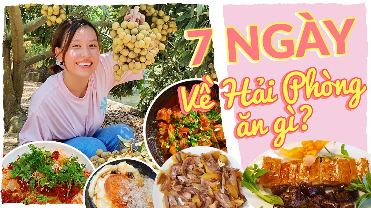 Foodtour 7 NGÀY ĂN Ở HẢI PHÒNG 🍳 | Ăn mãi không hết 50K là có thật 🤪