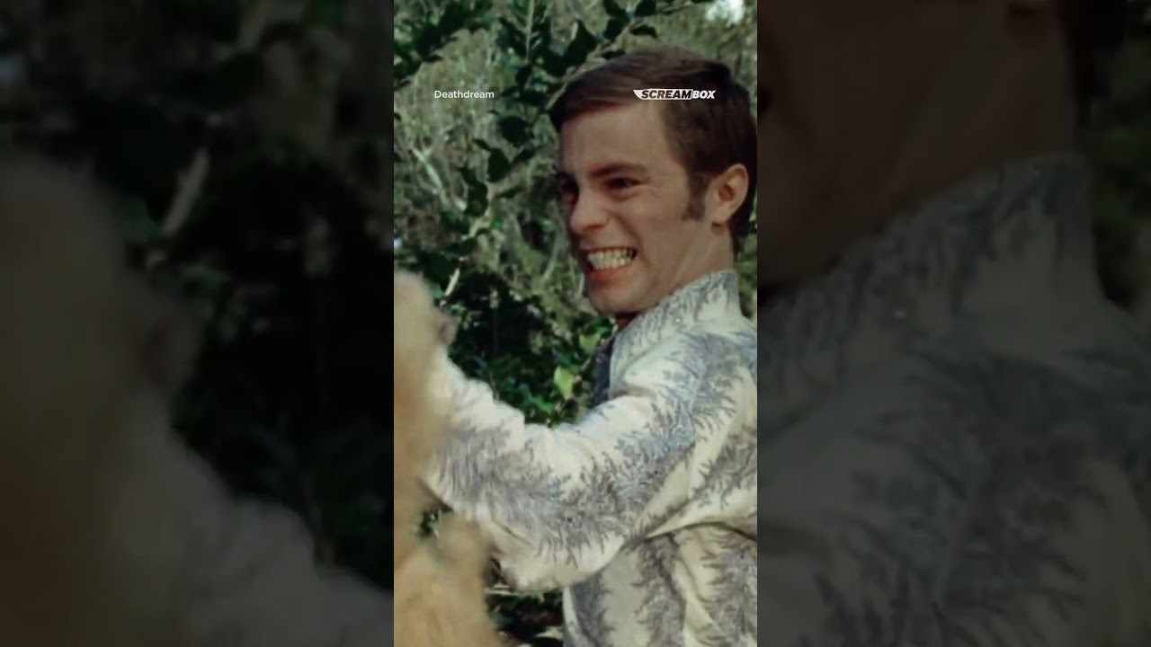 ANDY LET GO OF THE DOG! #screambox