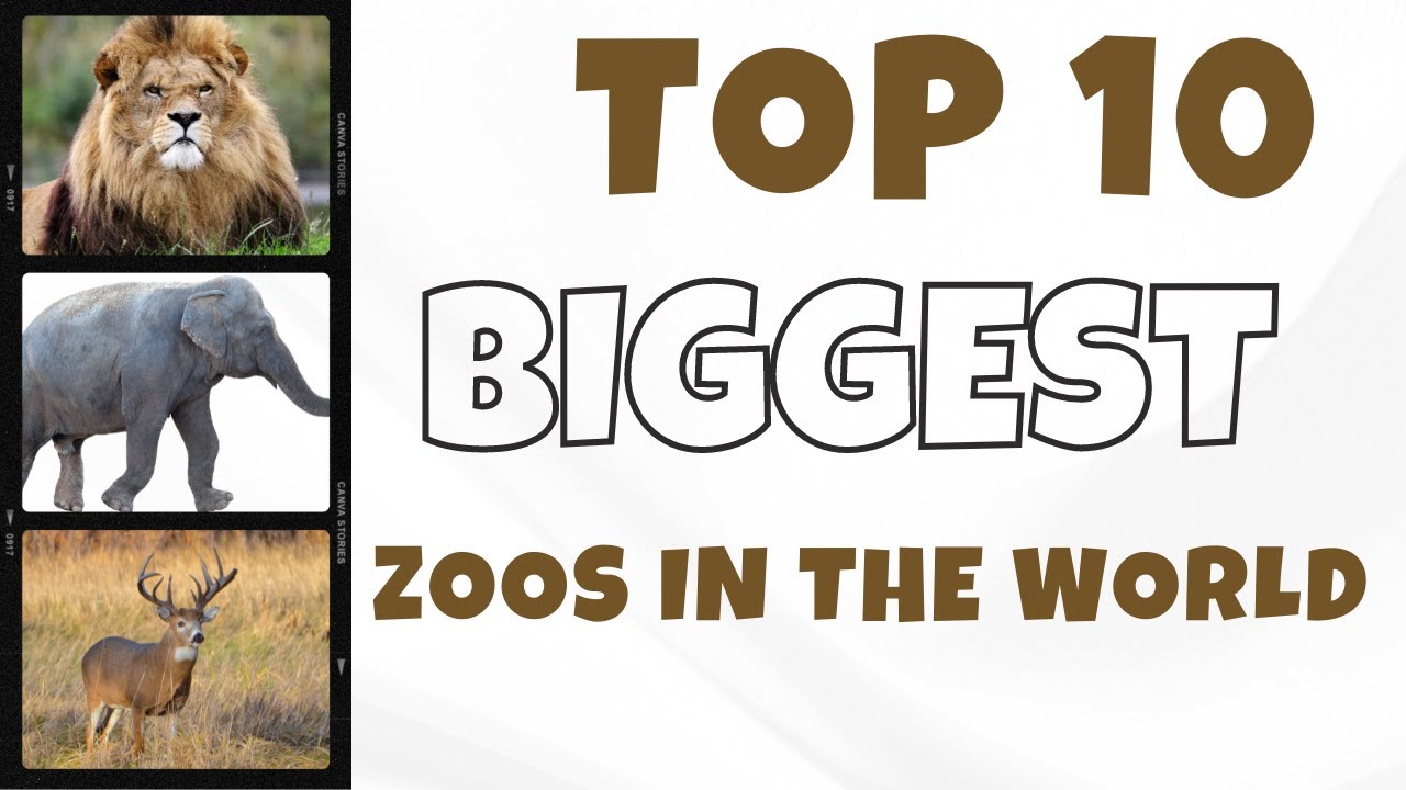 Top 10 Biggest Zoos Around the world