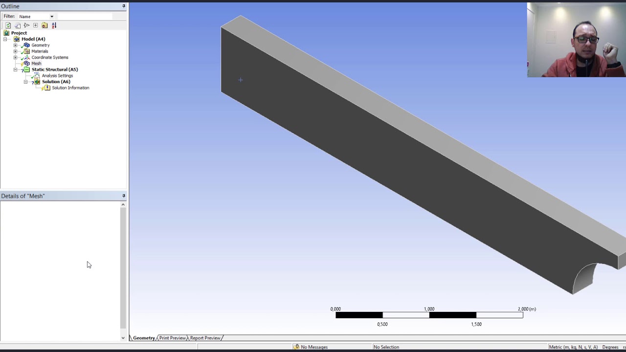 ANSYS - Tutorial 3.1 - Malha - Controles globais