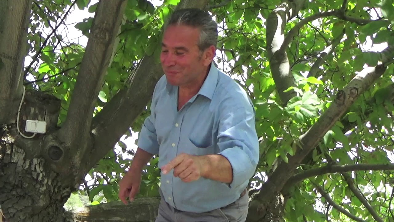 Akdereli Mustafa ÇİT