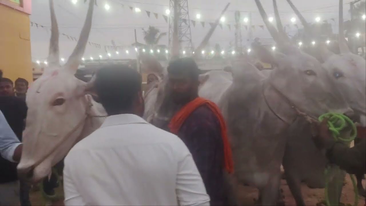 ಬನ್ನೂರ್ ಹೇಮದ್ರಾಂಭ ಬಂಡಿ ಜಾತ್ರೆ 