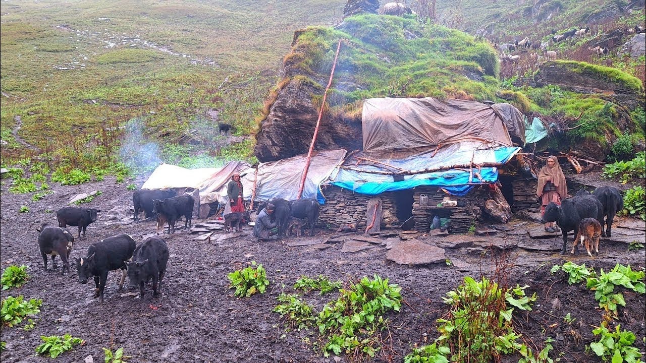 Real Nepali Mountain Village Life During the Rain | Daily Activities of Rural People in Nepal |