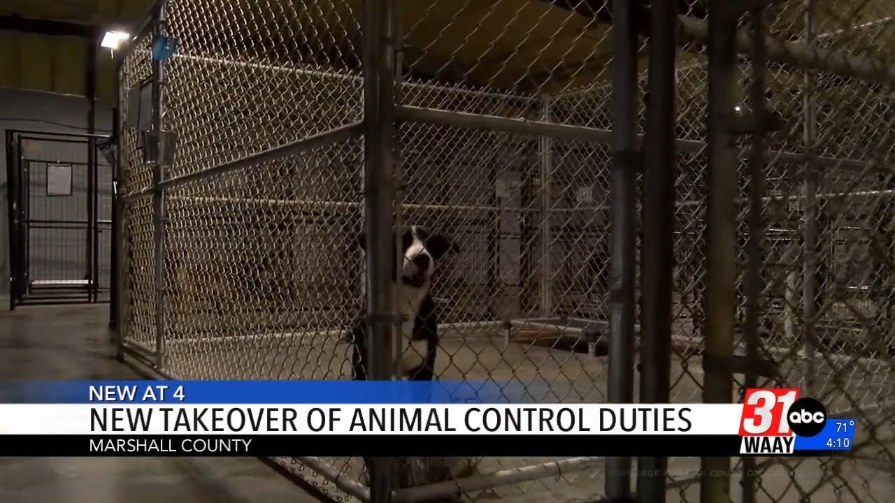 Marshall County sheriff takes over animal control duties