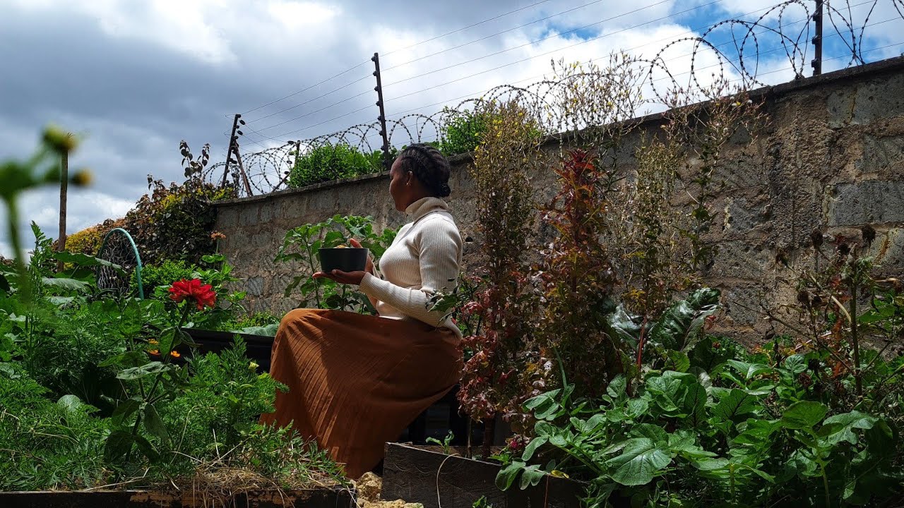The Art of Cozy Living In The Countryside Estate | Finding Joy in the Simple Things.