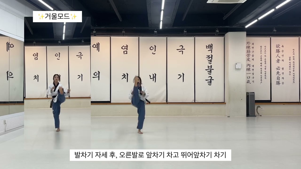 태극8장 배워보기