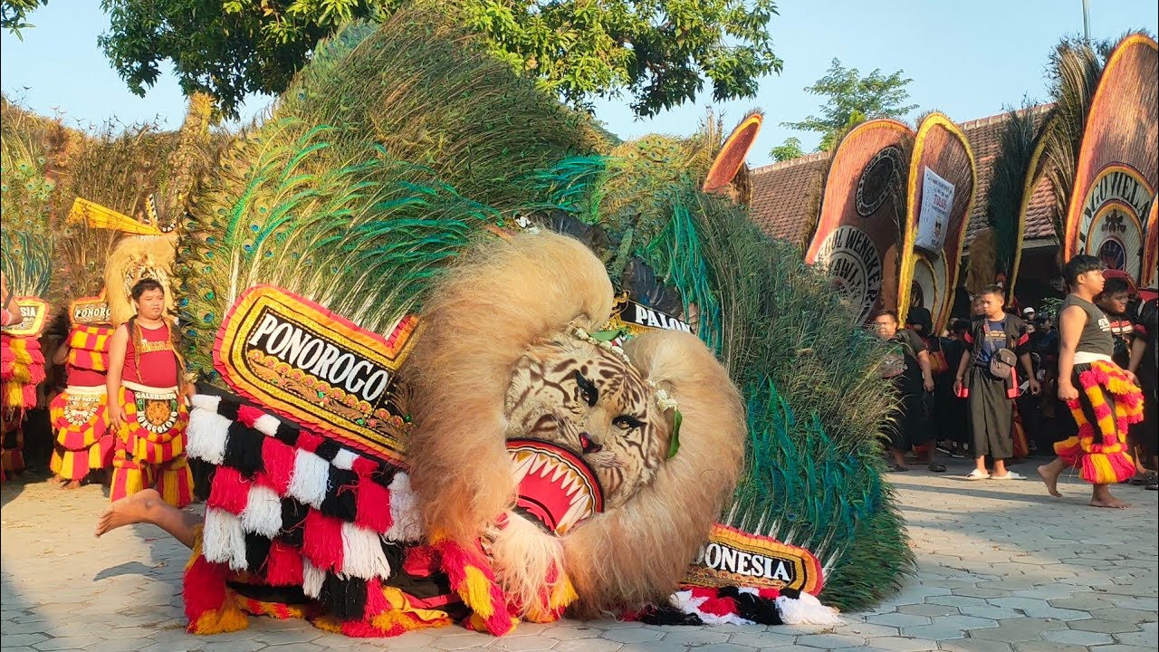 MERINDING 3 METER❗DADAK MERAK REOG PONOROGO TERBESAR GUNCANG DUNIA GEGERKAN DESA GOLAN SUKOREJO