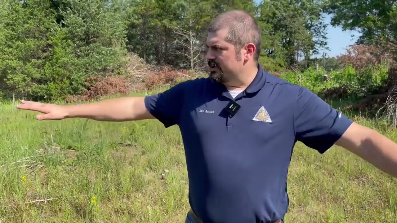 Habitat Hints: Removing Cedar Trees